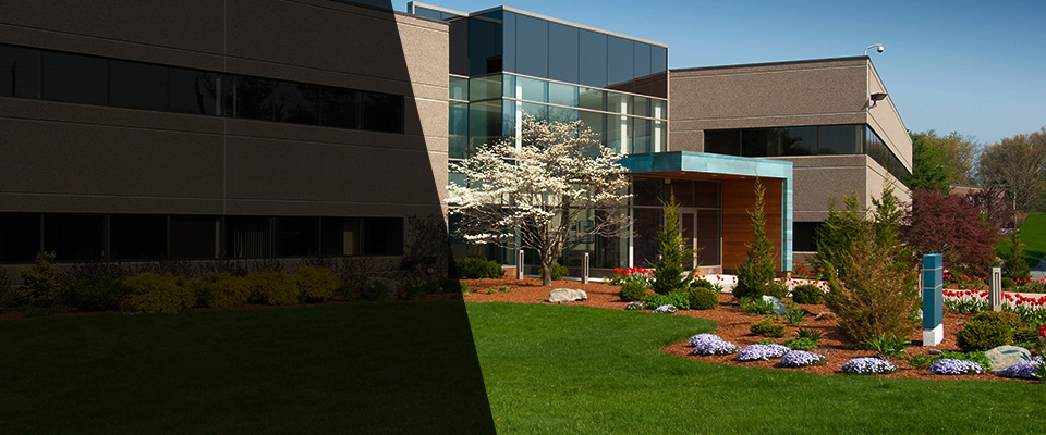 Moorefield Landscapers