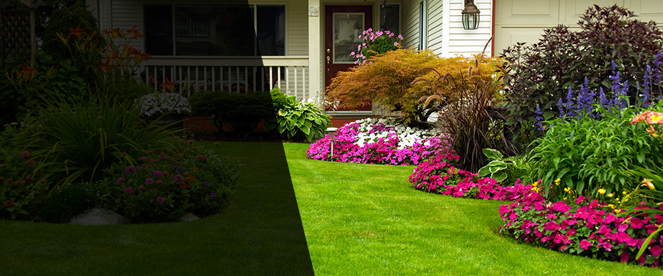 Moorefield Landscapers